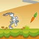 Thỏ Bugs tìm cà rốt